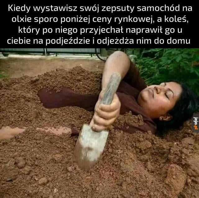 Naprawdę wystarczyło tylko wyjąć kota spod silnika?