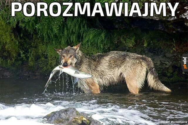 Porozmawiajmy