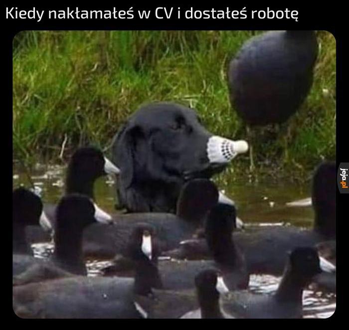 Zero przypału