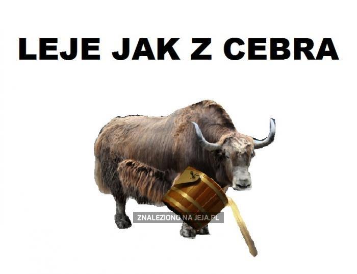 Leje jak z cebra