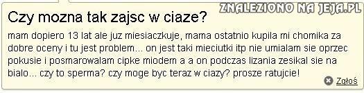 Zajście w ciążę z... chomikiem?