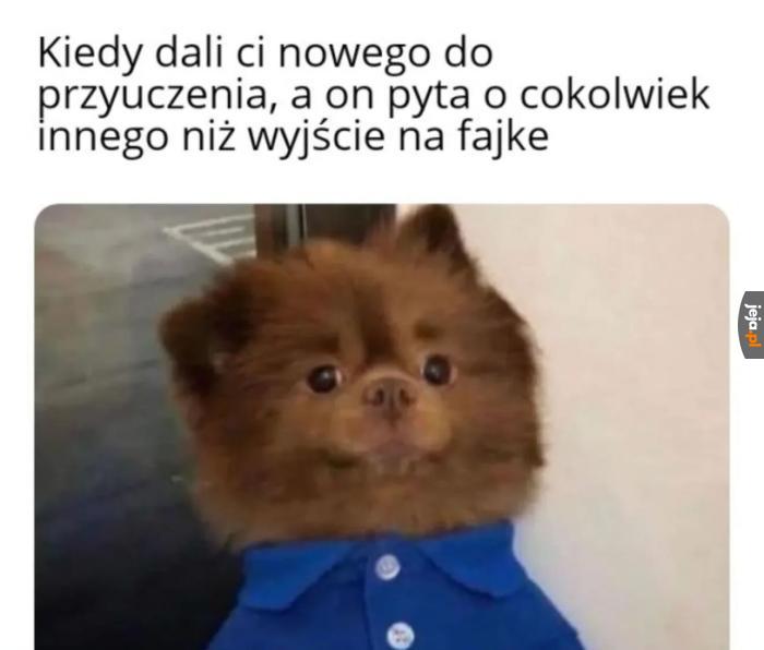 Ty nowy niepoważny jakiś jesteś