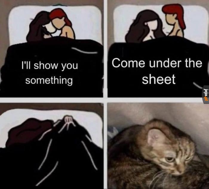 Miau