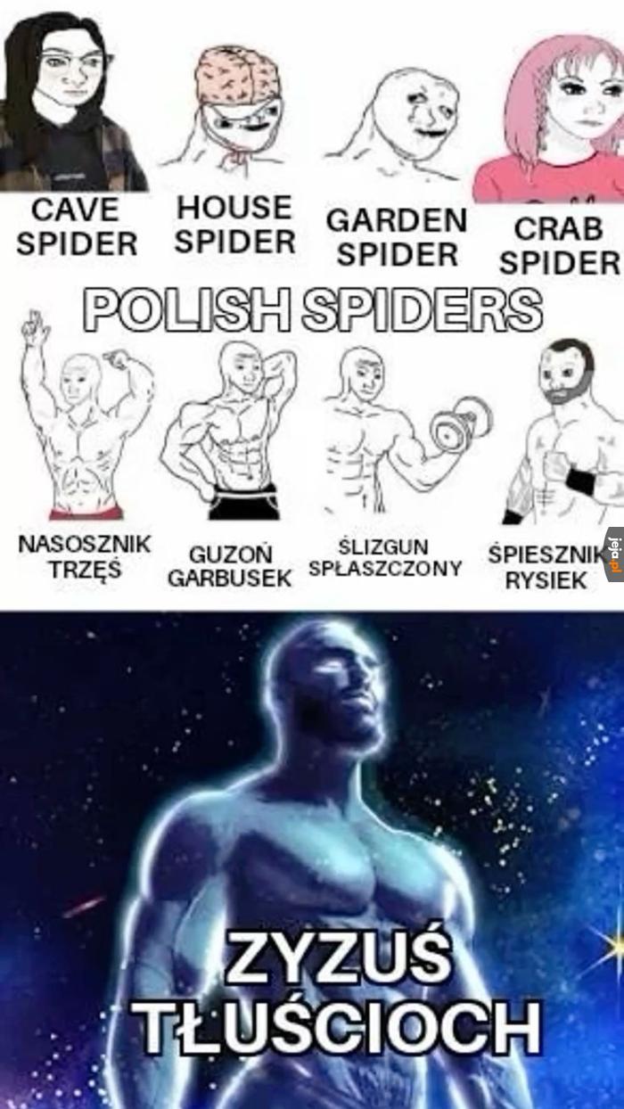 Coś ten nowy prezydent jakiś niememiczny