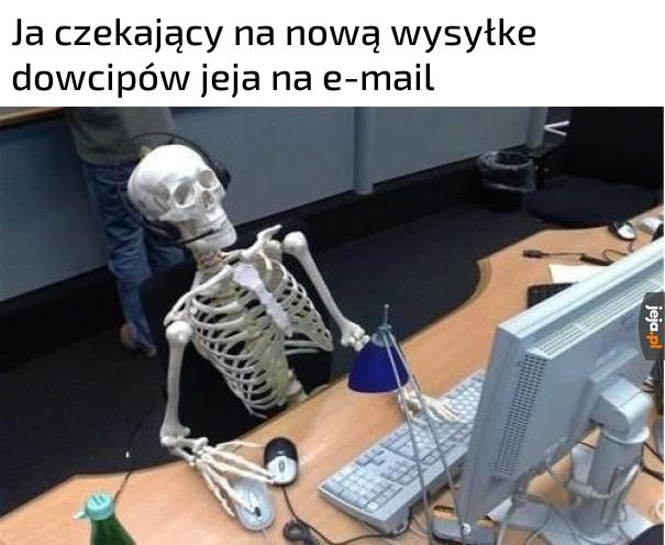 Halo pobudka admin
