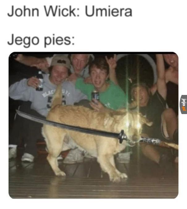 Kokomelon i do przodu
