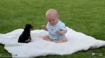 Epicka bitwa niemowlaka ze szczeniakiem