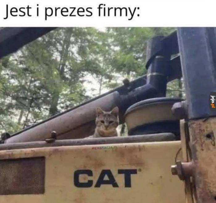 CEO odnaleziony