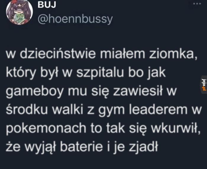 Pyszne ogniwa