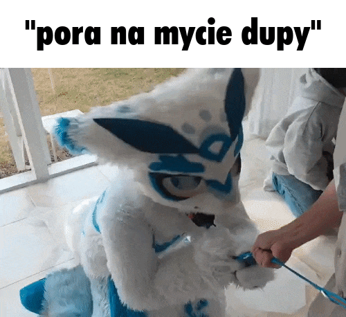 Tak jest stety