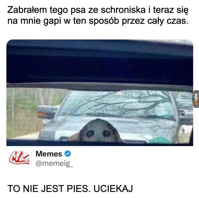 I już go nie widziano