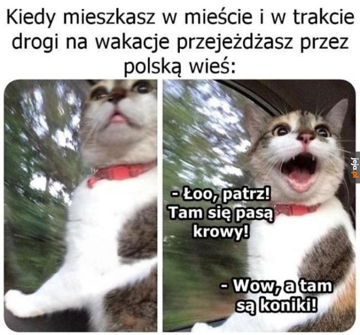 Łooo!