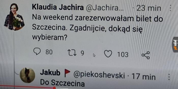 Rozgryzł to