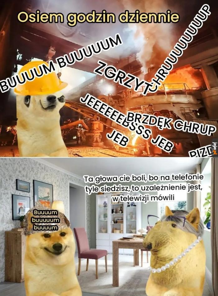 Tylko ten komputer
