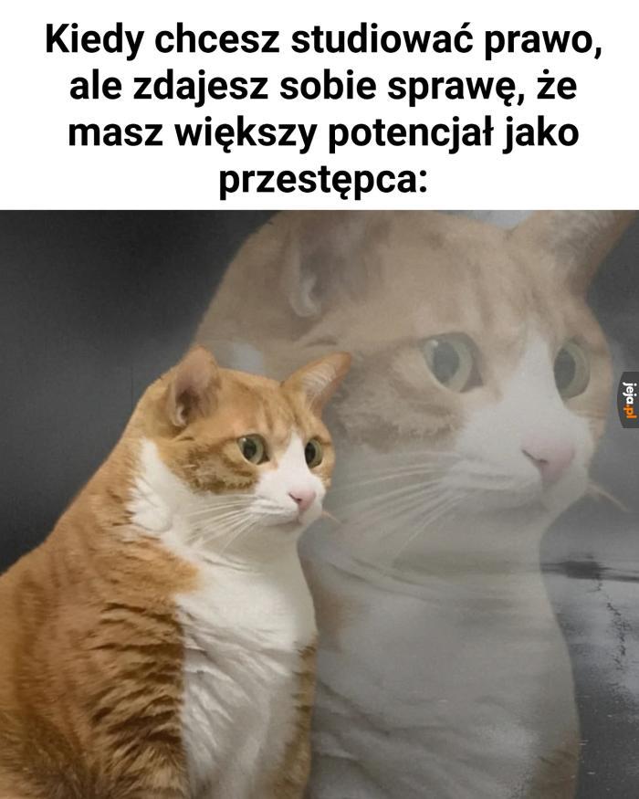 Idź za głosem serca
