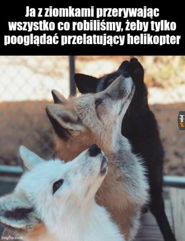 Łoo, ale fajny