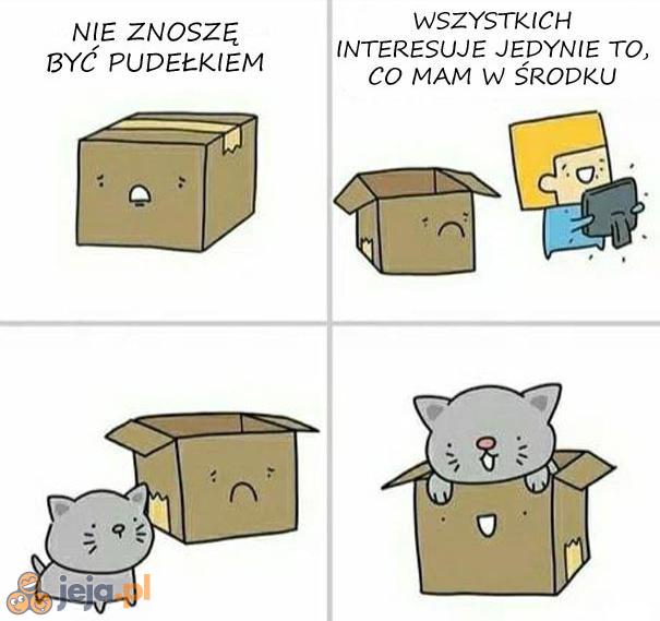 Właśnie dlatego koty kochają pudełka