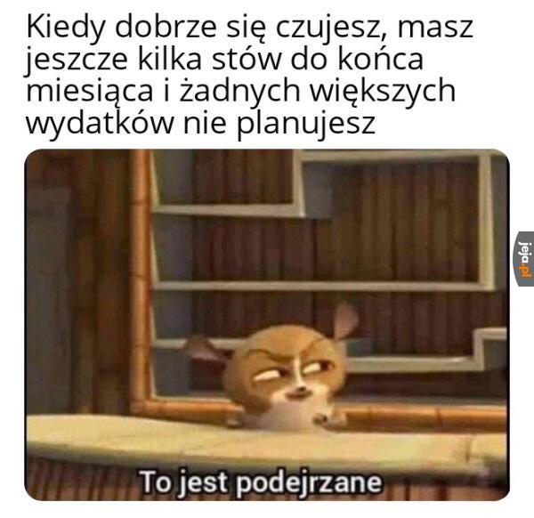 Zaraz coś się musi zrypać