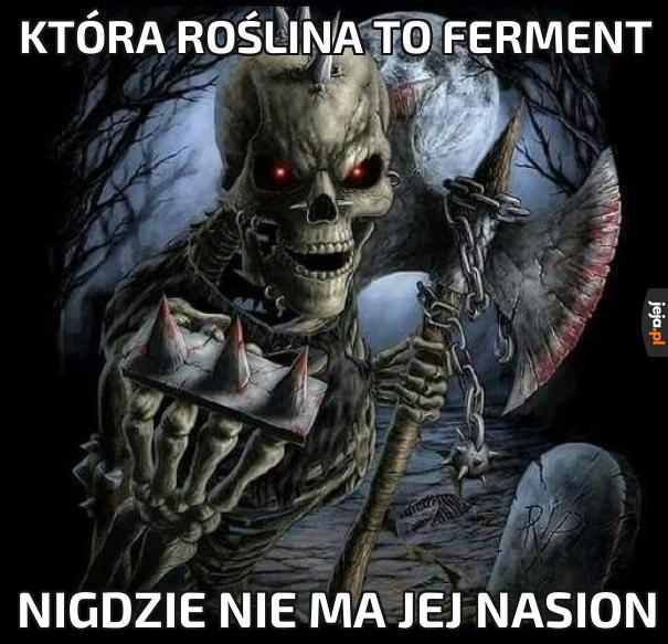 Siać ferment
