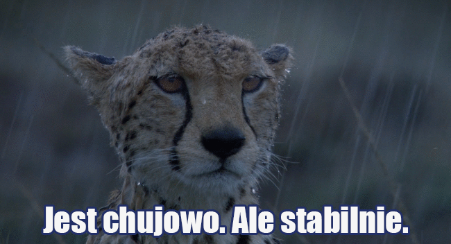 No i jak tam?