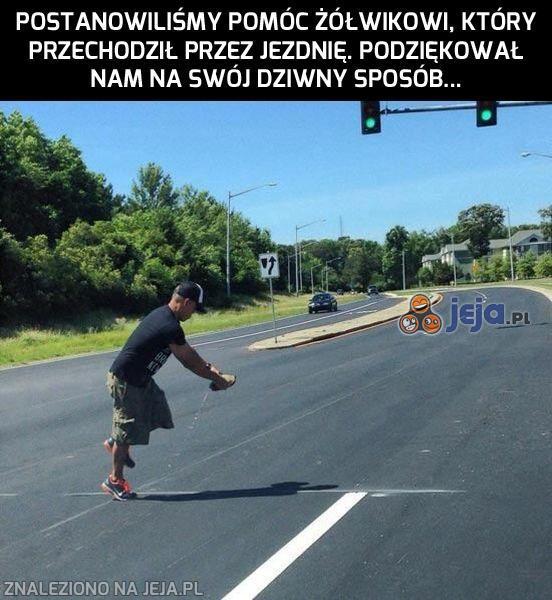 Nie ma za co, żółwiku!