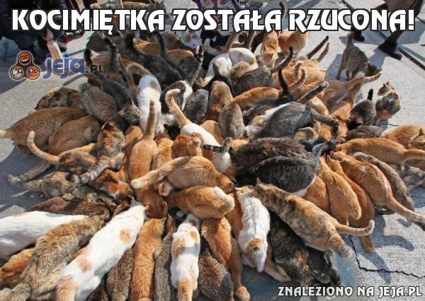 Kocimiętka została rzucona!