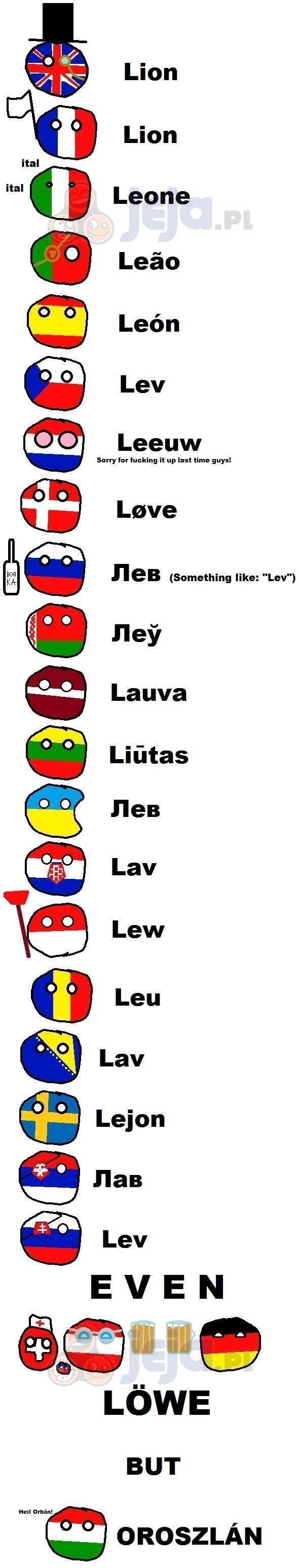 "Lew" w różnych językach