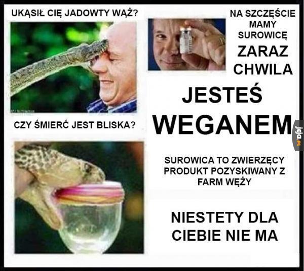 Sposób na weganów