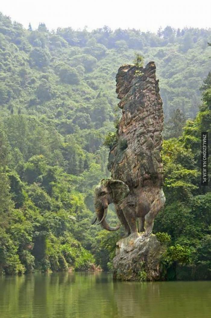 Słoniowa skała, Indie