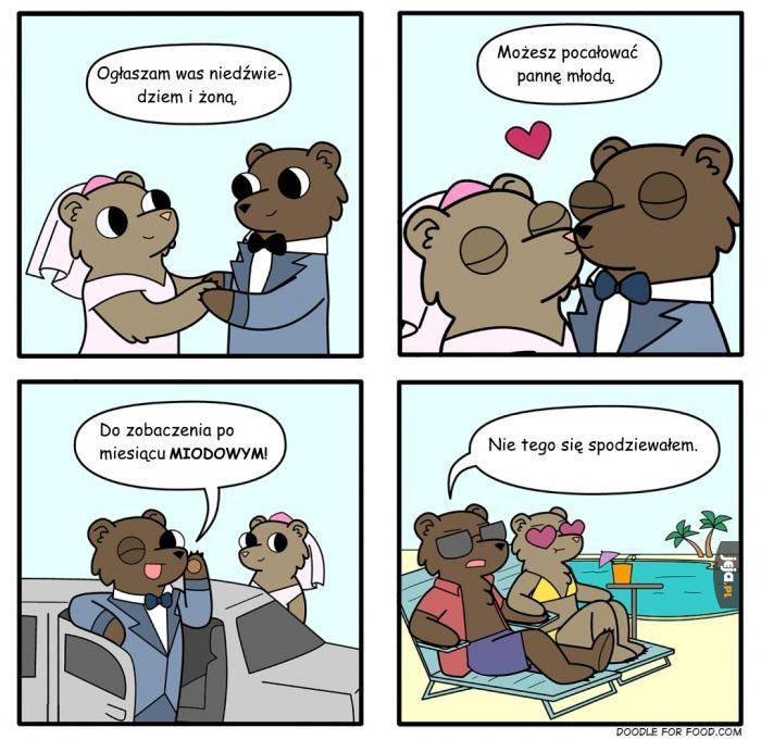 Niedźwiedzie nieporozumienie