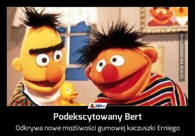 Podekscytowany Bert