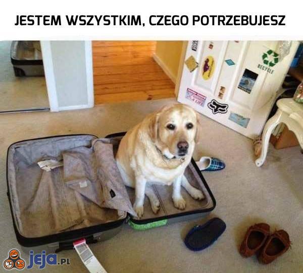 To co, jedziemy?