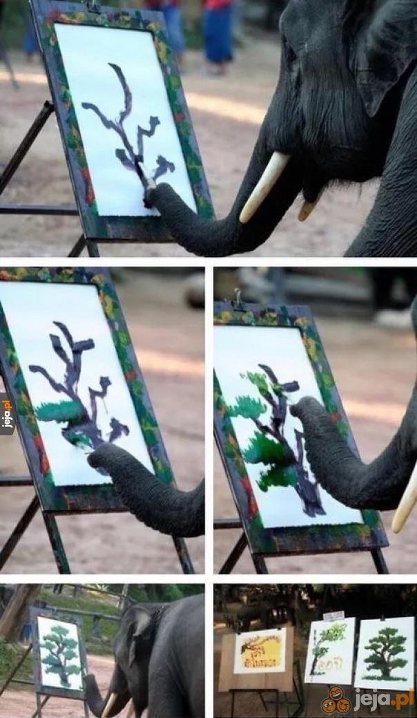 Słoń, który maluje lepiej ode mnie
