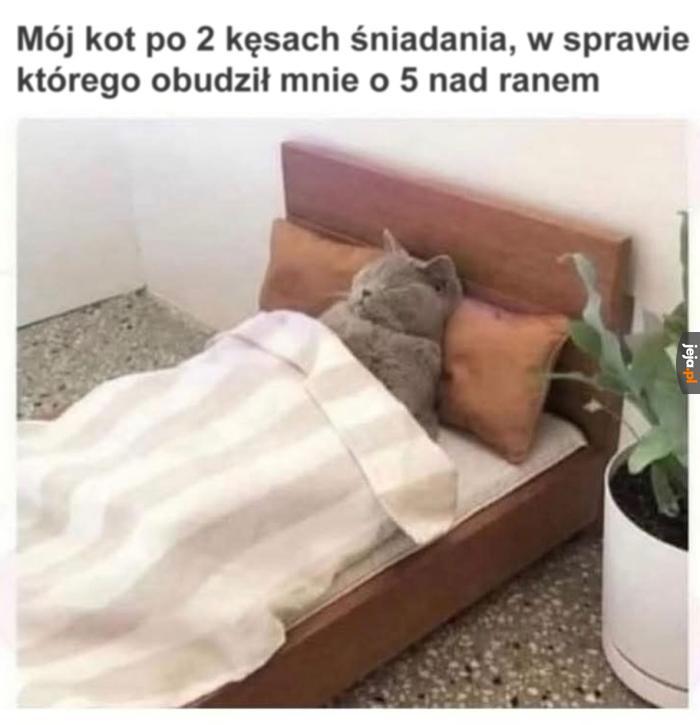 Zzzzz spanko