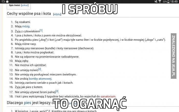 I spróbuj