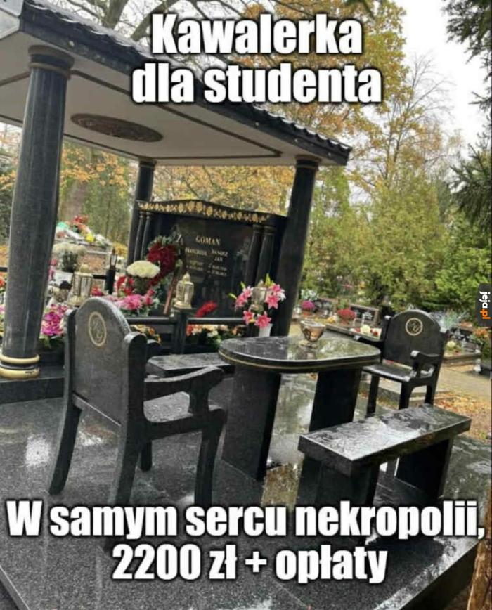 Podejrzanie tanio