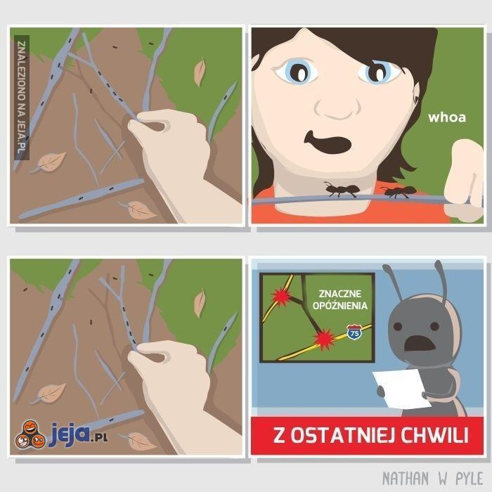 Zdumiewająca konstrukcja