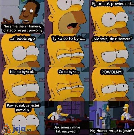Homer się zawiesił