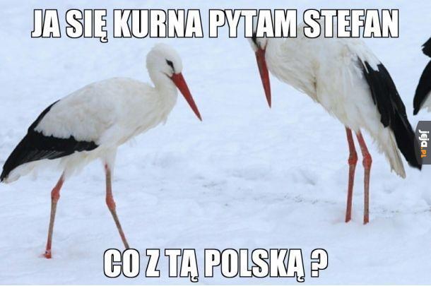 Zimno coś ostatnio