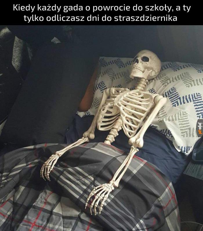 Zostało 36 dni