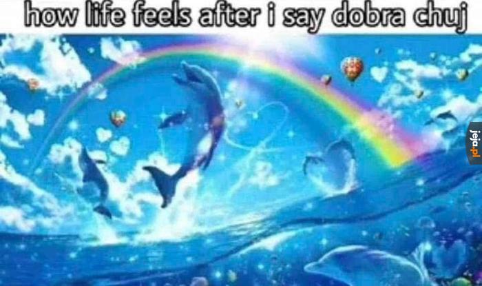 No i YOLO