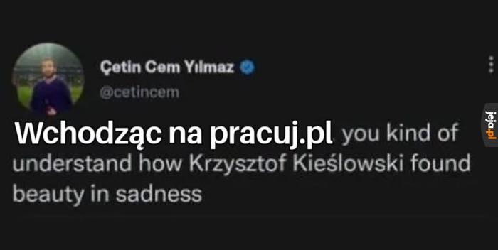 Fakty
