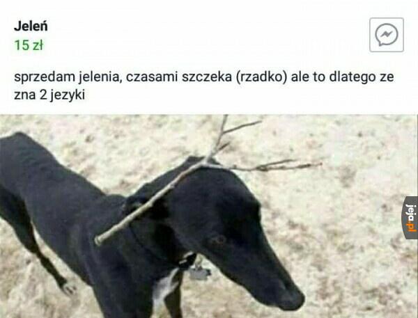 PS Uczy się trzeciego