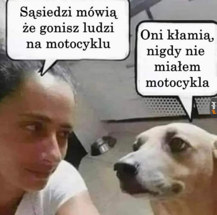 Podłe oszczerstwa