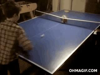 Ping-Pong z kotem