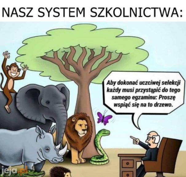 Działa świetnie