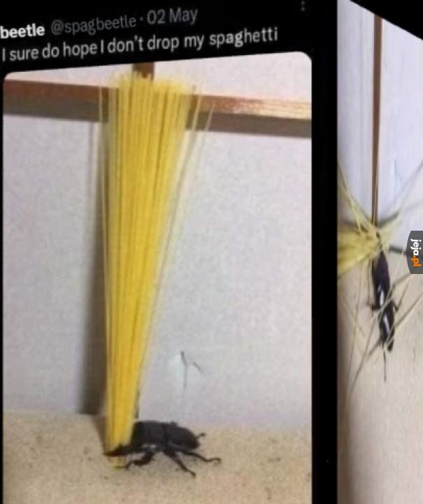 Spoiler alert