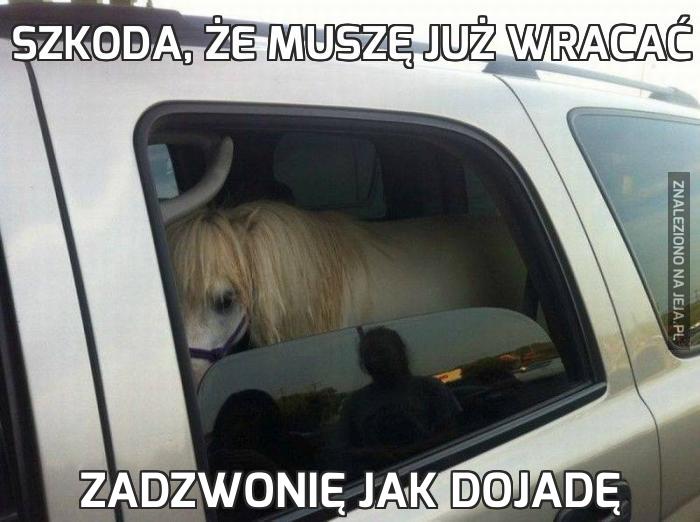 Szkoda, że muszę już wracać