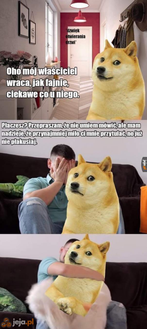 To zawsze pomoże!