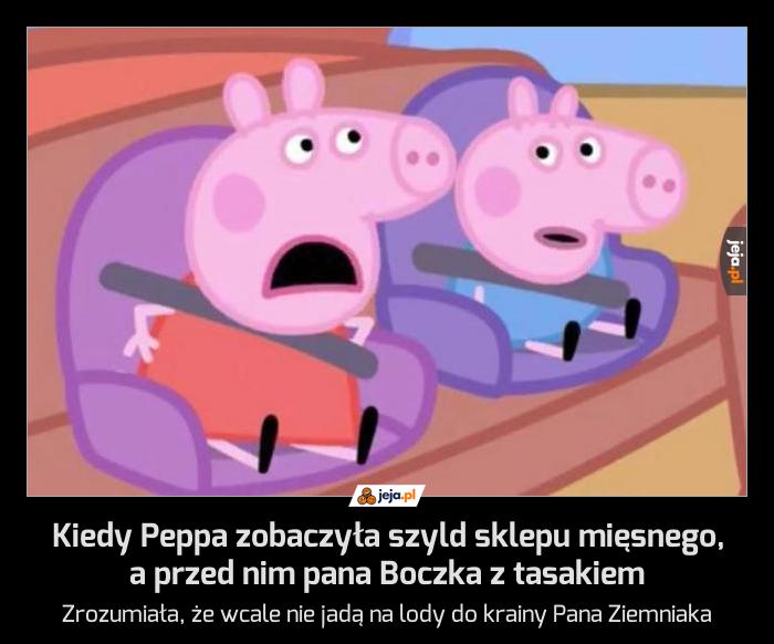 Gdy małe świnki dojrzewają, udają się spełnić swój obywatelski obowiązek